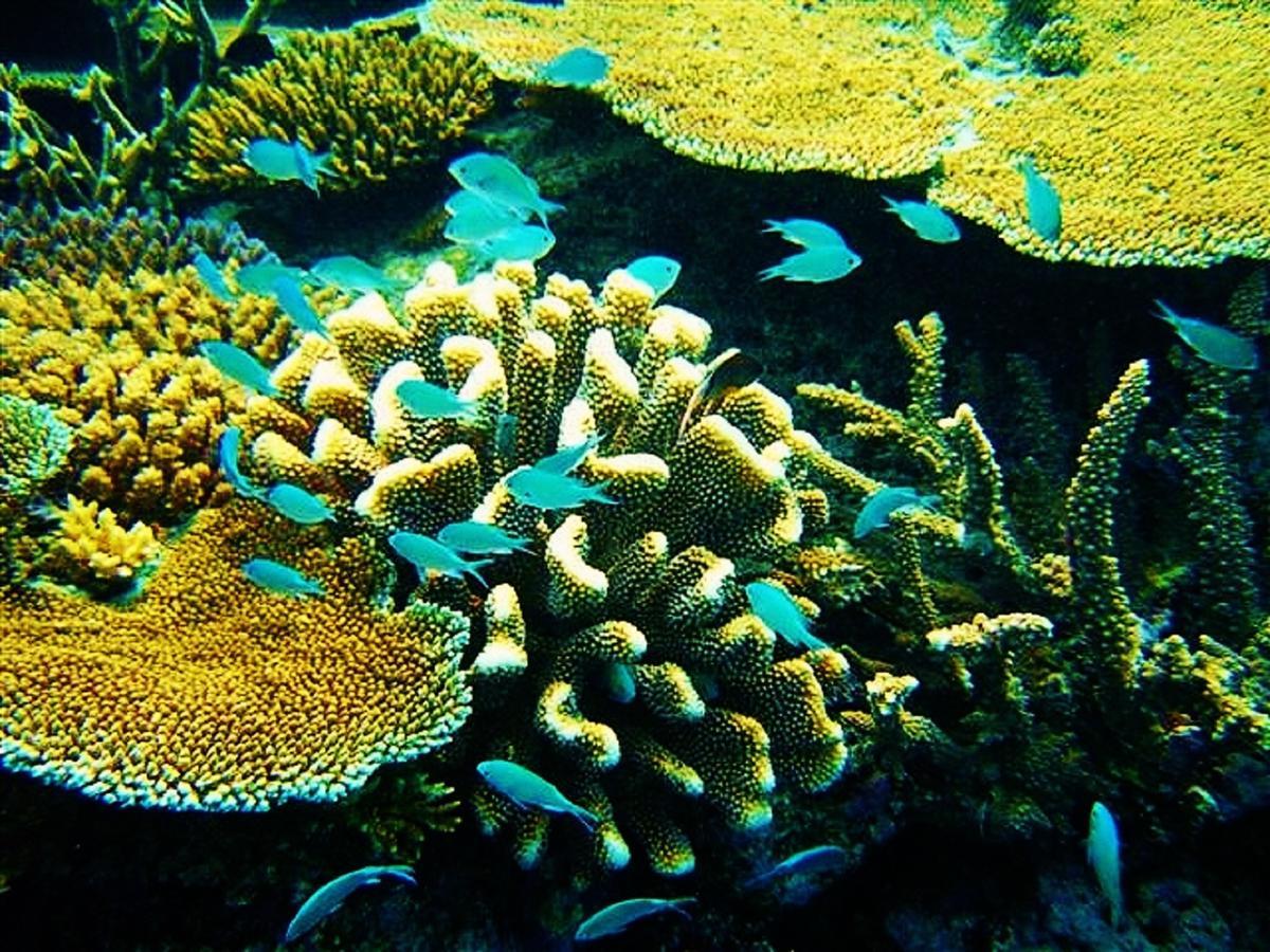 ماتي Makaira Resort المظهر الخارجي الصورة